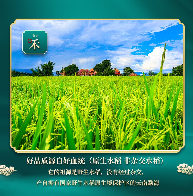 详情5.jpg