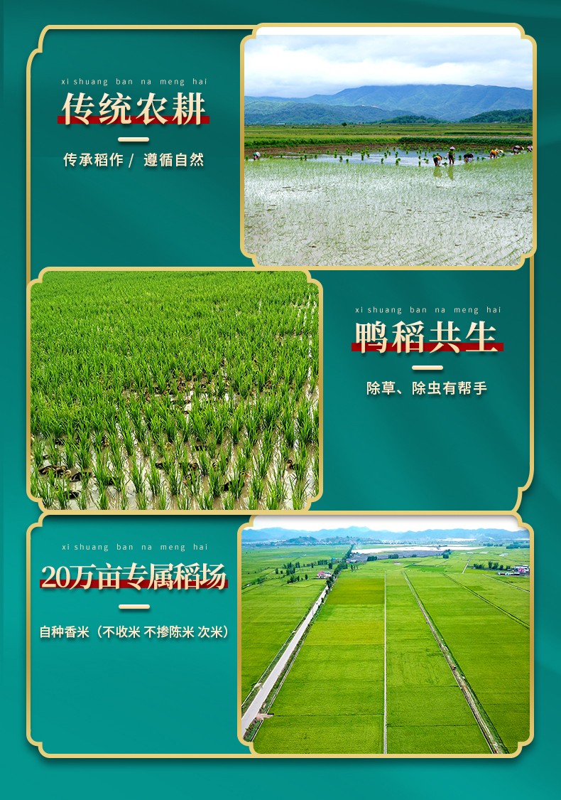 详情8.jpg